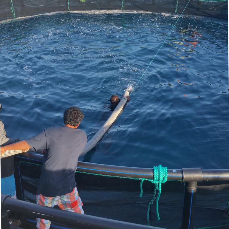 Sea cage finfish aquaculture operations in the Marshall Islands