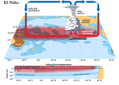 Diagram of El Nino in the Pacific