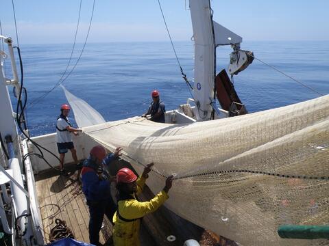 Fishers hauling a large net onboard a fishing research vessel